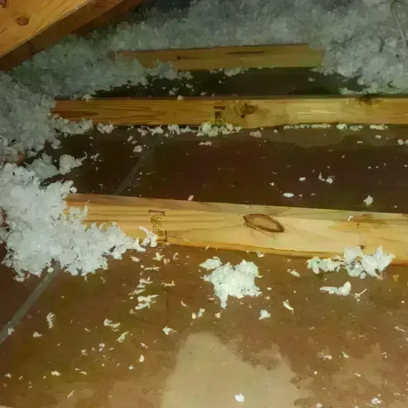 Attic Water Damage in Dalton, MA